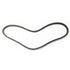4700286376 Dynapac Drive Belt.jpeg