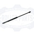 4812318331 Dynapac Bonnet Strut.jpg