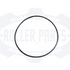 Kathy's Roller Template - 2025-02-27T101526.656.png
