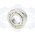 Kathy's Roller Template - 2025-03-04T125317.853.png