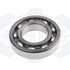 Kathys-Roller-Template-2025-01-28T155426.783-600x600.png