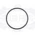 Kathys-Roller-Template-2025-03-18T115922.942-600x600.png