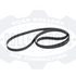 Bomag V-Ribbed Belt