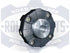 rp-209wm-300x229.jpg